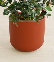 Load image into Gallery viewer, Earth Red stand:all