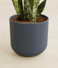 Load image into Gallery viewer, Iron Gray stand:all