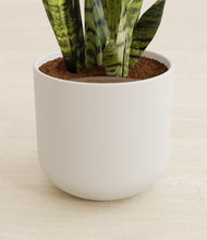 Load image into Gallery viewer, Natural Bamboo stand:all