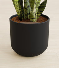 Load image into Gallery viewer, Stone Black stand:all