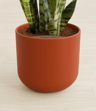 Load image into Gallery viewer, Earth Red stand:all