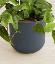 Load image into Gallery viewer, Iron Gray stand:all