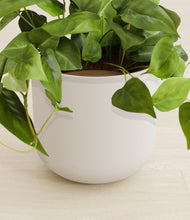 Load image into Gallery viewer, Natural Bamboo stand:all