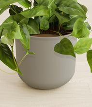 Load image into Gallery viewer, Sage Green stand:all