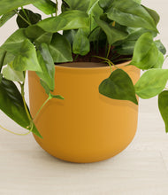 Load image into Gallery viewer, Sunset Orange stand:all