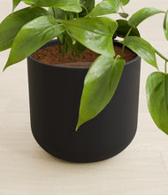 Load image into Gallery viewer, Stone Black stand:all