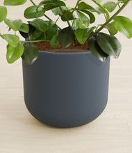 Load image into Gallery viewer, Iron Gray stand:all