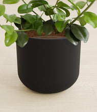 Load image into Gallery viewer, Stone Black stand:all