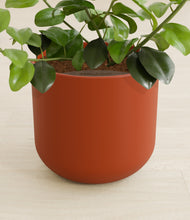 Load image into Gallery viewer, Earth Red stand:all