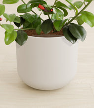 Load image into Gallery viewer, -