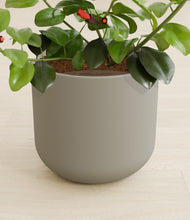 Load image into Gallery viewer, -