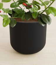 Load image into Gallery viewer, -