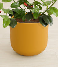 Load image into Gallery viewer, -