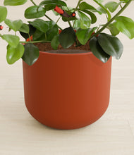 Load image into Gallery viewer, -