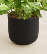 Load image into Gallery viewer, Stone Black stand:all