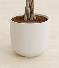 Load image into Gallery viewer, Natural Bamboo stand:all