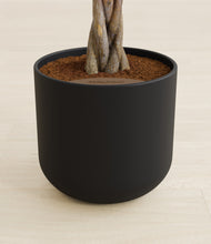 Load image into Gallery viewer, Stone Black stand:all