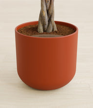 Load image into Gallery viewer, Earth Red stand:all