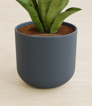 Load image into Gallery viewer, Iron Gray stand:all