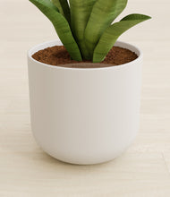 Load image into Gallery viewer, Natural Bamboo stand:all