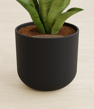 Load image into Gallery viewer, Stone Black stand:all