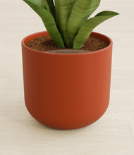 Load image into Gallery viewer, Earth Red stand:all