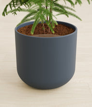 Load image into Gallery viewer, Iron Gray stand:all