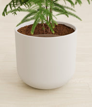 Load image into Gallery viewer, Natural Bamboo stand:all