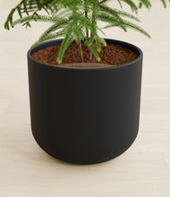 Load image into Gallery viewer, Stone Black stand:all