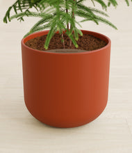 Load image into Gallery viewer, Earth Red stand:all