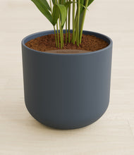 Load image into Gallery viewer, Iron Gray stand:all