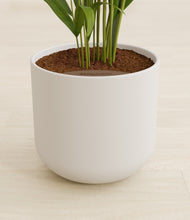 Load image into Gallery viewer, Natural Bamboo stand:all