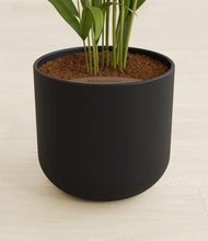 Load image into Gallery viewer, Stone Black stand:all