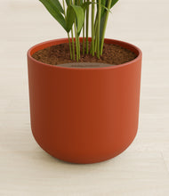 Load image into Gallery viewer, Earth Red stand:all