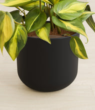 Load image into Gallery viewer, Stone Black stand:all