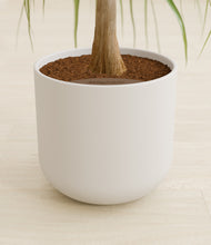 Load image into Gallery viewer, Natural Bamboo stand:all