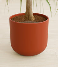 Load image into Gallery viewer, Earth Red stand:all