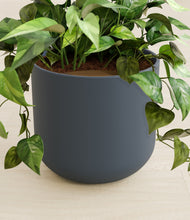 Load image into Gallery viewer, Iron Gray stand:all