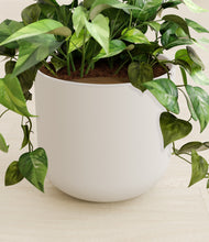 Load image into Gallery viewer, Natural Bamboo stand:all