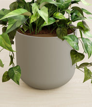 Load image into Gallery viewer, Sage Green stand:all