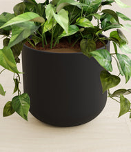 Load image into Gallery viewer, Stone Black stand:all