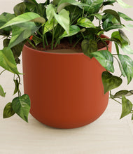 Load image into Gallery viewer, Earth Red stand:all