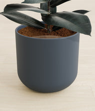 Load image into Gallery viewer, Iron Gray stand:all