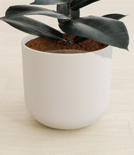 Load image into Gallery viewer, Natural Bamboo stand:all