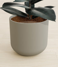 Load image into Gallery viewer, Sage Green stand:all