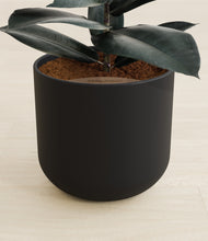 Load image into Gallery viewer, Stone Black stand:all