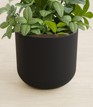 Load image into Gallery viewer, Stone Black stand:all