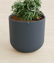 Load image into Gallery viewer, Iron Gray stand:all