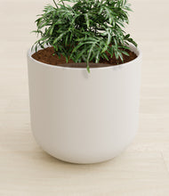 Load image into Gallery viewer, Natural Bamboo stand:all