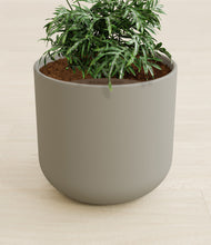 Load image into Gallery viewer, Sage Green stand:all